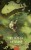 Война и мир. Том 2. Вечные истории. Young Adult