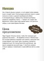 Книжная деревушка в Шотландии. Лето надежд