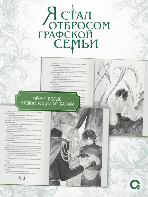 4.webp