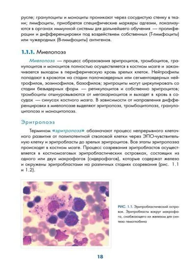 Учебник по гематологии