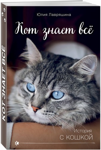 Кот знает всё