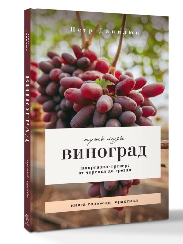Виноград. Путь лозы. Шпаргалка-трекер: от черенка до грозди