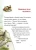 Тафіті і летючий китицевухий свин. Тафіті. Книга 2