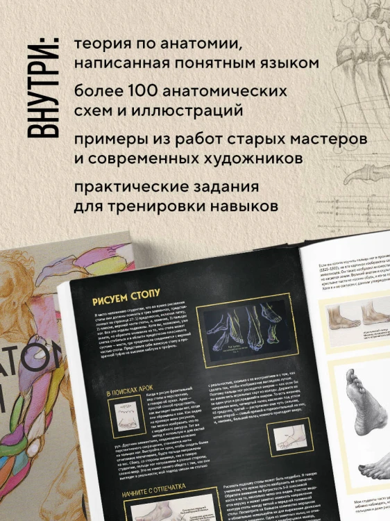 Анатомия Рэя. Большое руководство по рисунку для художников