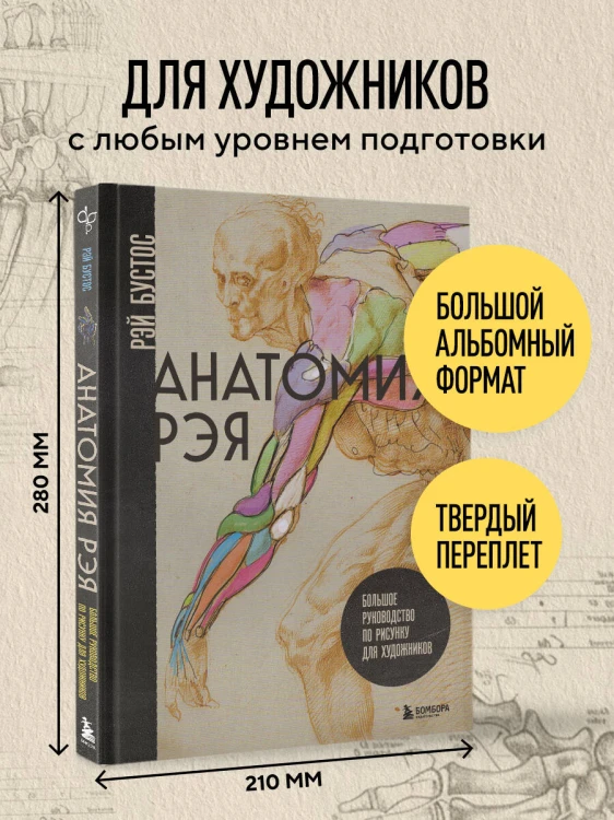 Анатомия Рэя. Большое руководство по рисунку для художников
