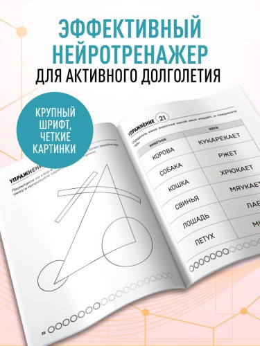 Мозг в тонусе. Головоломки и упражнения для памяти и внимания