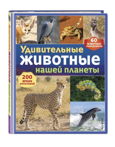 Удивительные животные нашей планеты