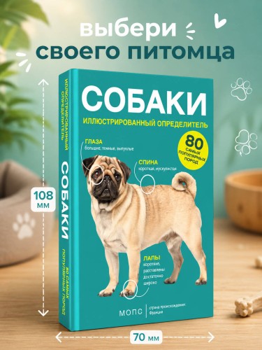 Собаки. 80 самых популярных пород. Иллюстрированный определитель