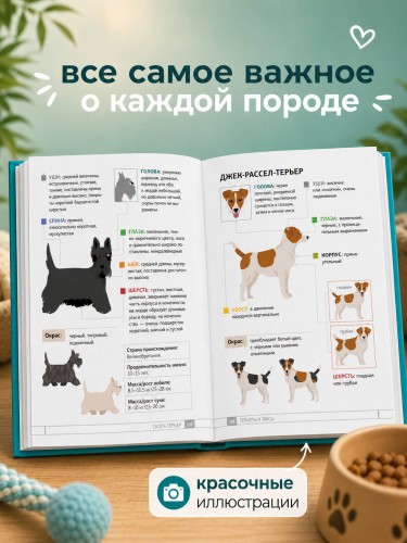 Собаки. 80 самых популярных пород. Иллюстрированный определитель