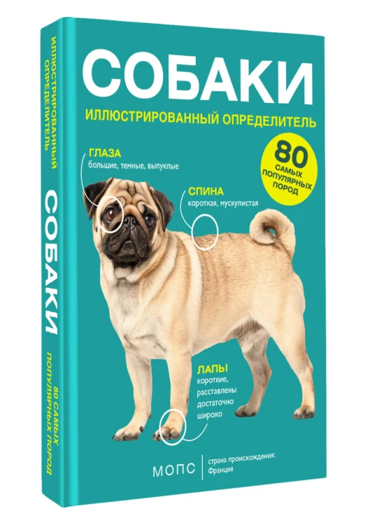 Собаки. 80 самых популярных пород. Иллюстрированный определитель