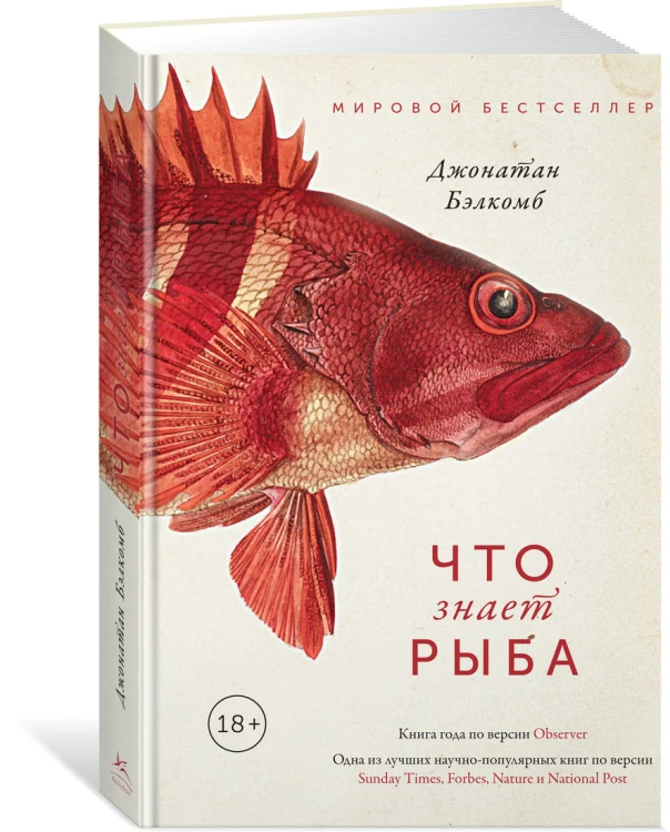 Что знает рыба. Внутренний мир наших подводных собратьев