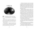 Хроники темных времен. Кн.5. Клятва мстителя