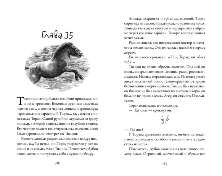 Хроники темных времен. Кн.5. Клятва мстителя