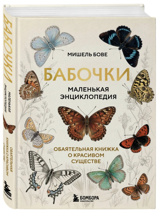 Бабочки! Маленькая энциклопедия. Обаятельная книжка о красивом существе