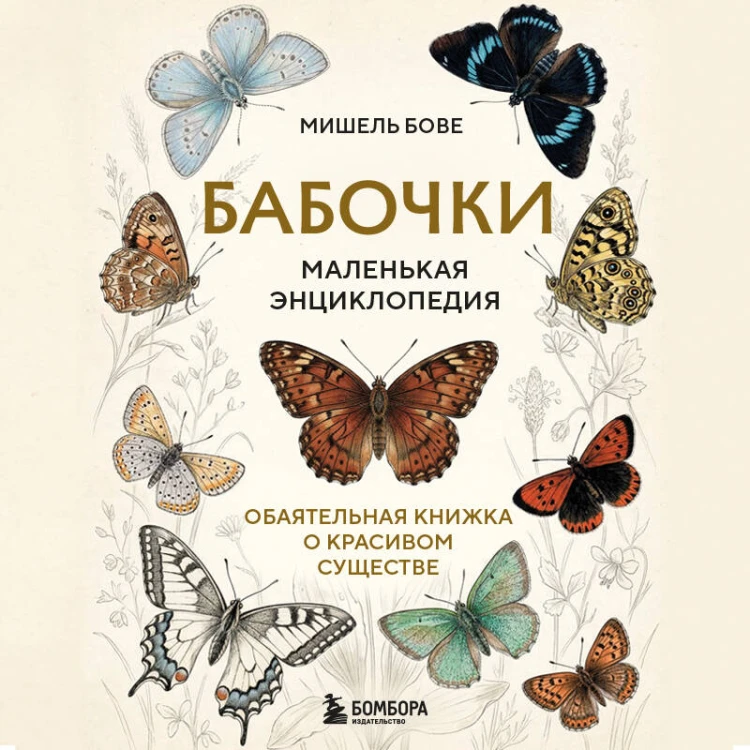 Бабочки! Маленькая энциклопедия. Обаятельная книжка о красивом существе