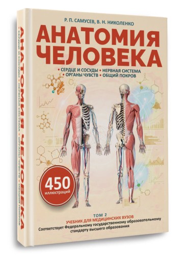 Анатомия человека. Сердце и сосуды, нервная система, органы чувств, общий покров