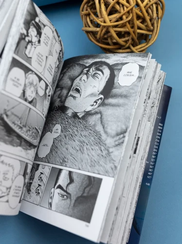Сага о Винланде. Книга 1 (Том 1, 2) (Vinland Saga)