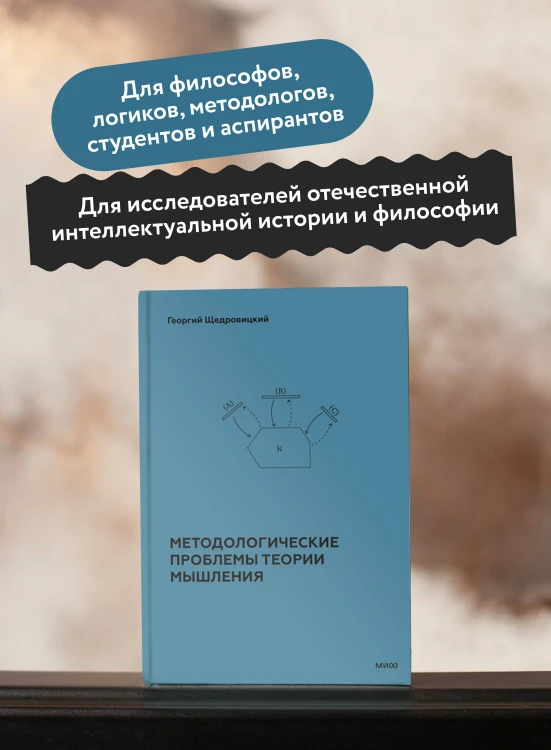 Методологические проблемы теории мышления