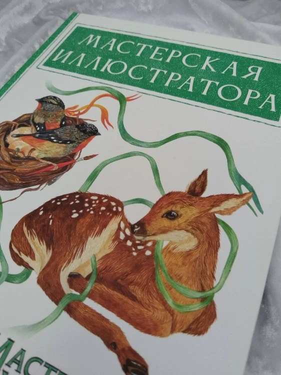 Мастерская иллюстратора