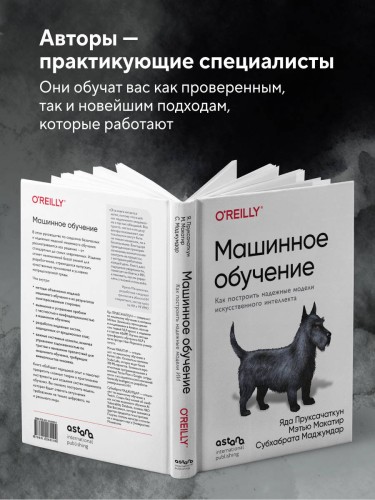 Машинное обучение. Как построить надежные модели искусственного интеллекта