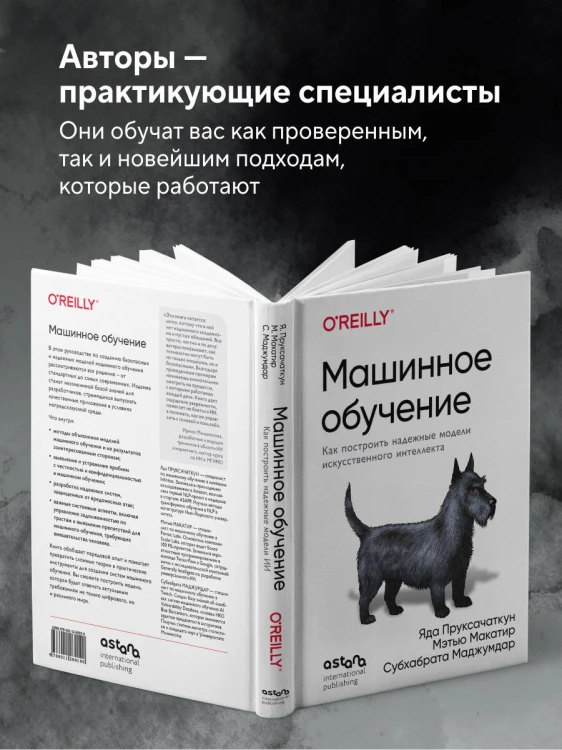 Машинное обучение. Как построить надежные модели искусственного интеллекта