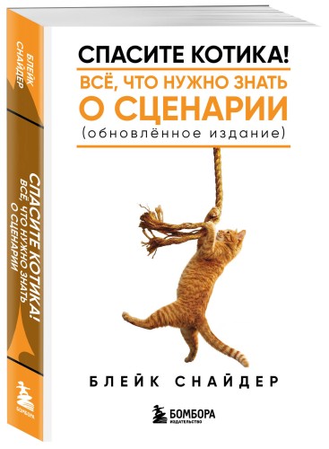 Спасите котика! Все, что нужно знать о сценарии (обновленное издание)