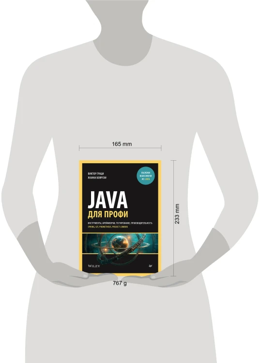 Java для профи. Инструменты, фреймворки, тестирование, производительность (Spring, Git, Prometheus, Project Lombok)