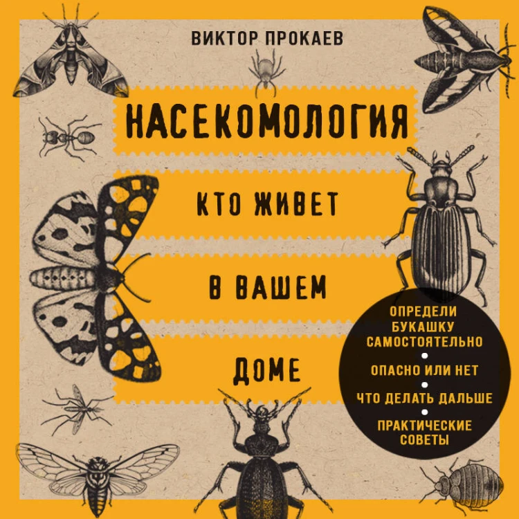 Насекомология. Кто живет в вашем доме: научный и ироничный путеводитель по домовым насекомым
