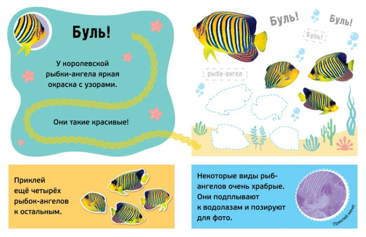 Буль! Море-океан