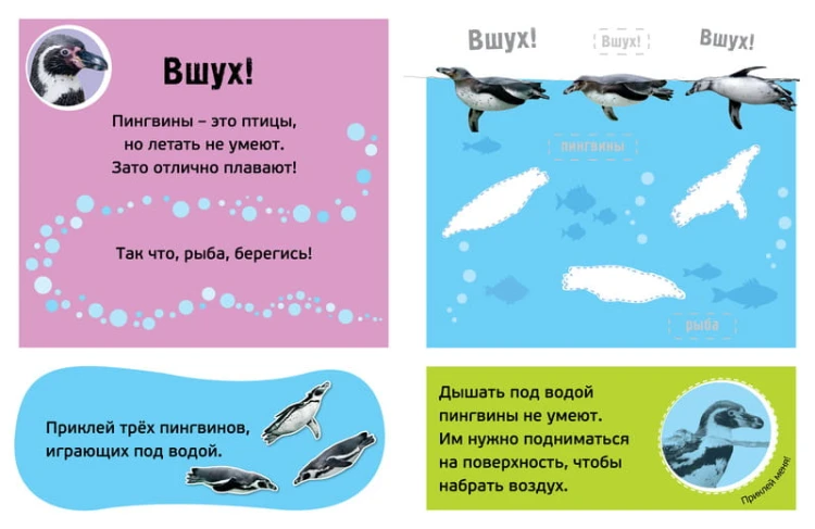 Буль! Море-океан