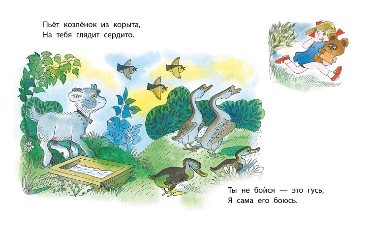 Мой мишка. Рис. В. Чижикова