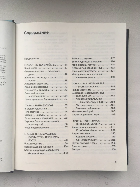 Код средневековья. Иероним Босх
