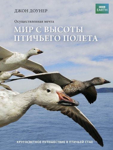 Мир с высоты птичьего полета