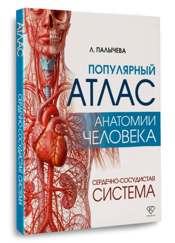 Популярный атлас анатомии человека. Сердечно-сосудистая система