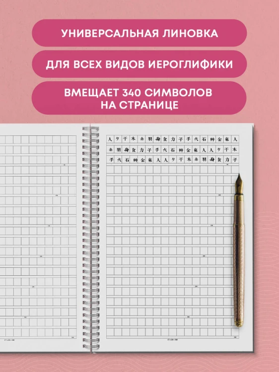 Тетрадь для иероглифов на пружине (Игривый котик)