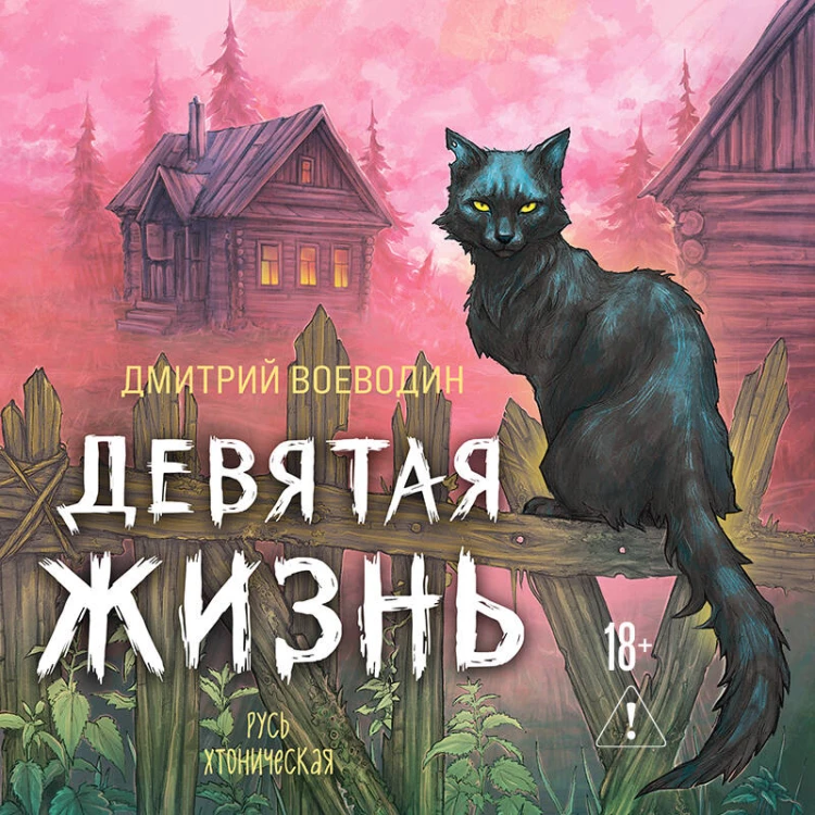 Девятая жизнь