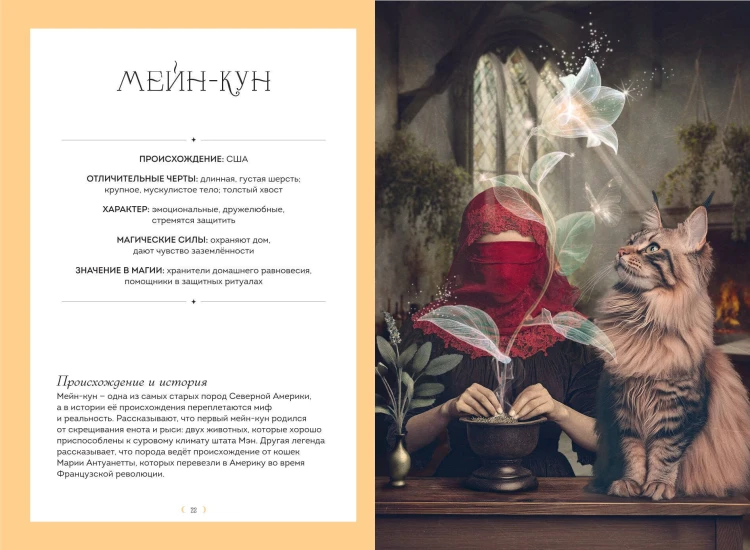 Кошки. Удивительные породы и их секреты