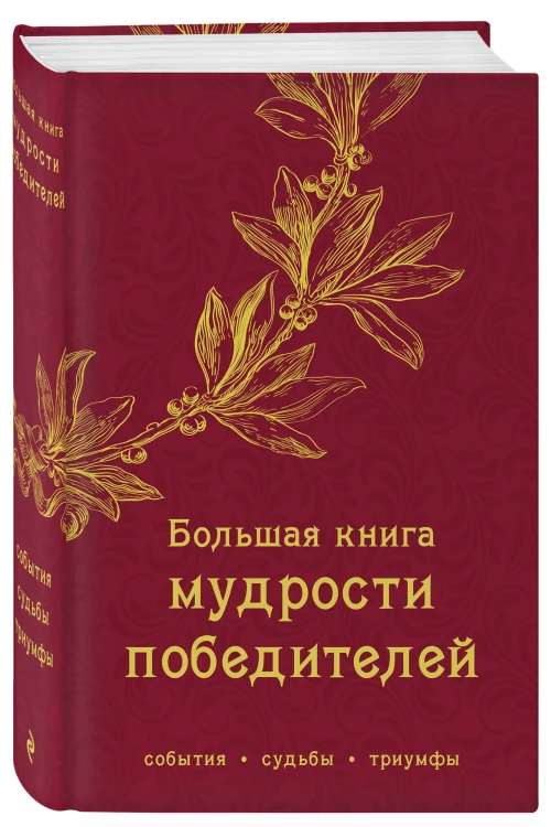 Большая книга мудрости победителей