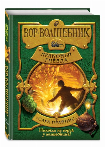 Вор-волшебник. Драконьи гнёзда (#3)