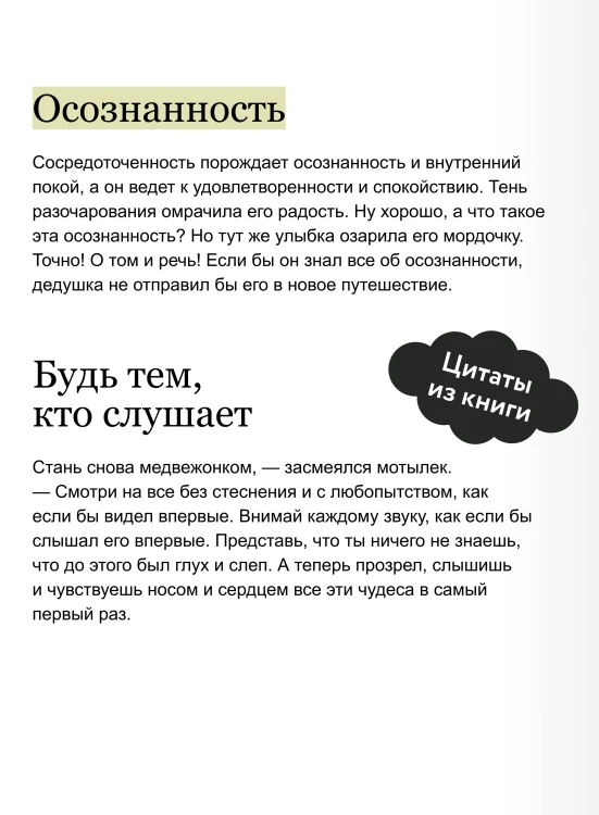 Маленькая панда Бао и красота в мелочах: теплая история об искусстве быть здесь и сейчас