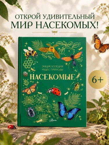 Насекомые