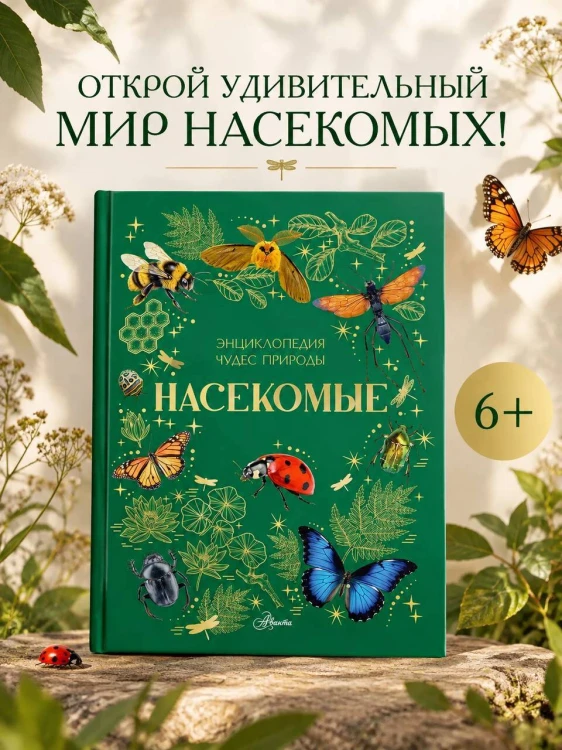 Насекомые