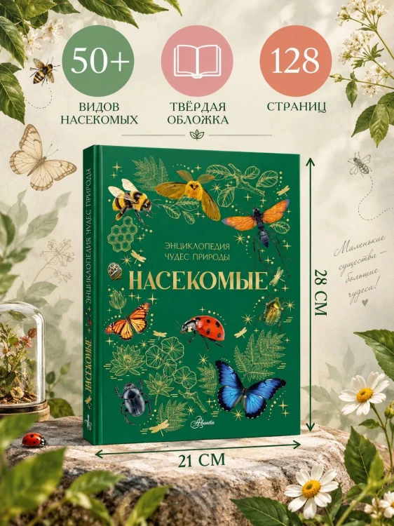 Насекомые