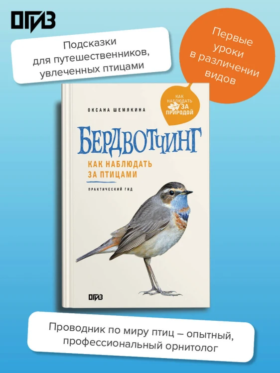 Бердвотчинг. Как наблюдать за птицами. Практический гид