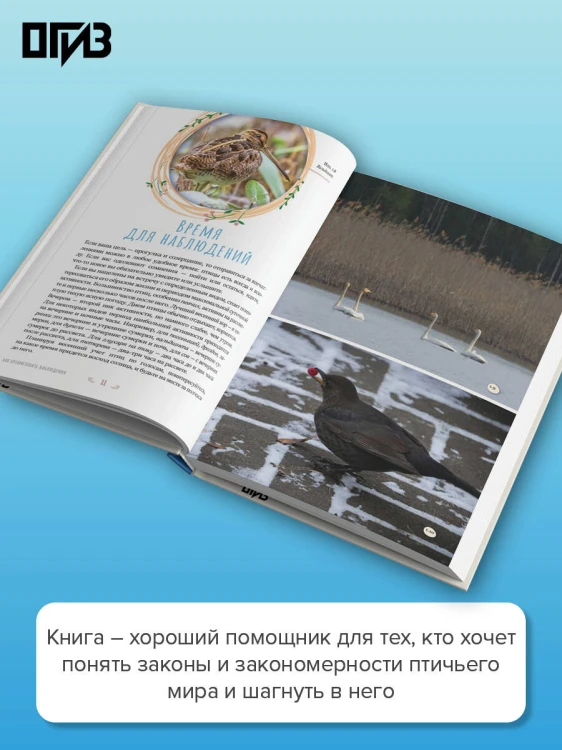 Бердвотчинг. Как наблюдать за птицами. Практический гид