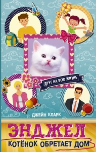 Энджел. Котенок обретает дом