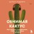 Обнимая кактус. Как говорить с подростком, чтобы он слышал и доверял