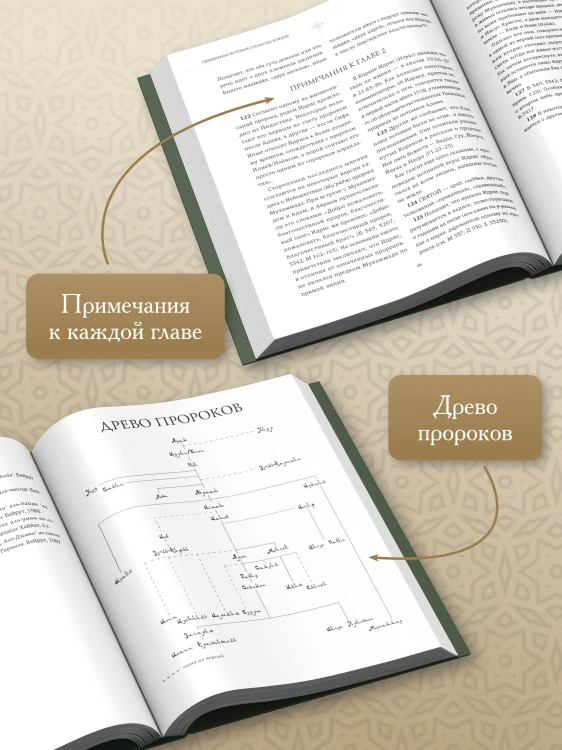 Священная история согласно Корану. Доисламские древности