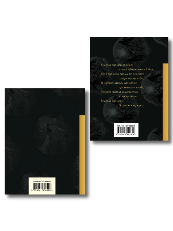 Комплект Голоса поколения (из 2-х книг Высоцкий и Галич)