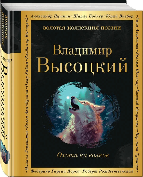 Комплект Голоса поколения (из 2-х книг Высоцкий и Галич)